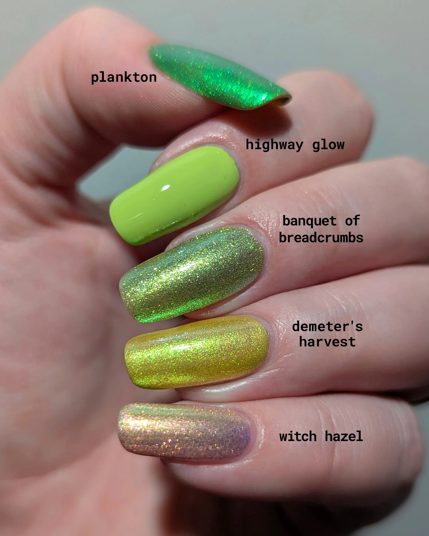 Thumbnail 8