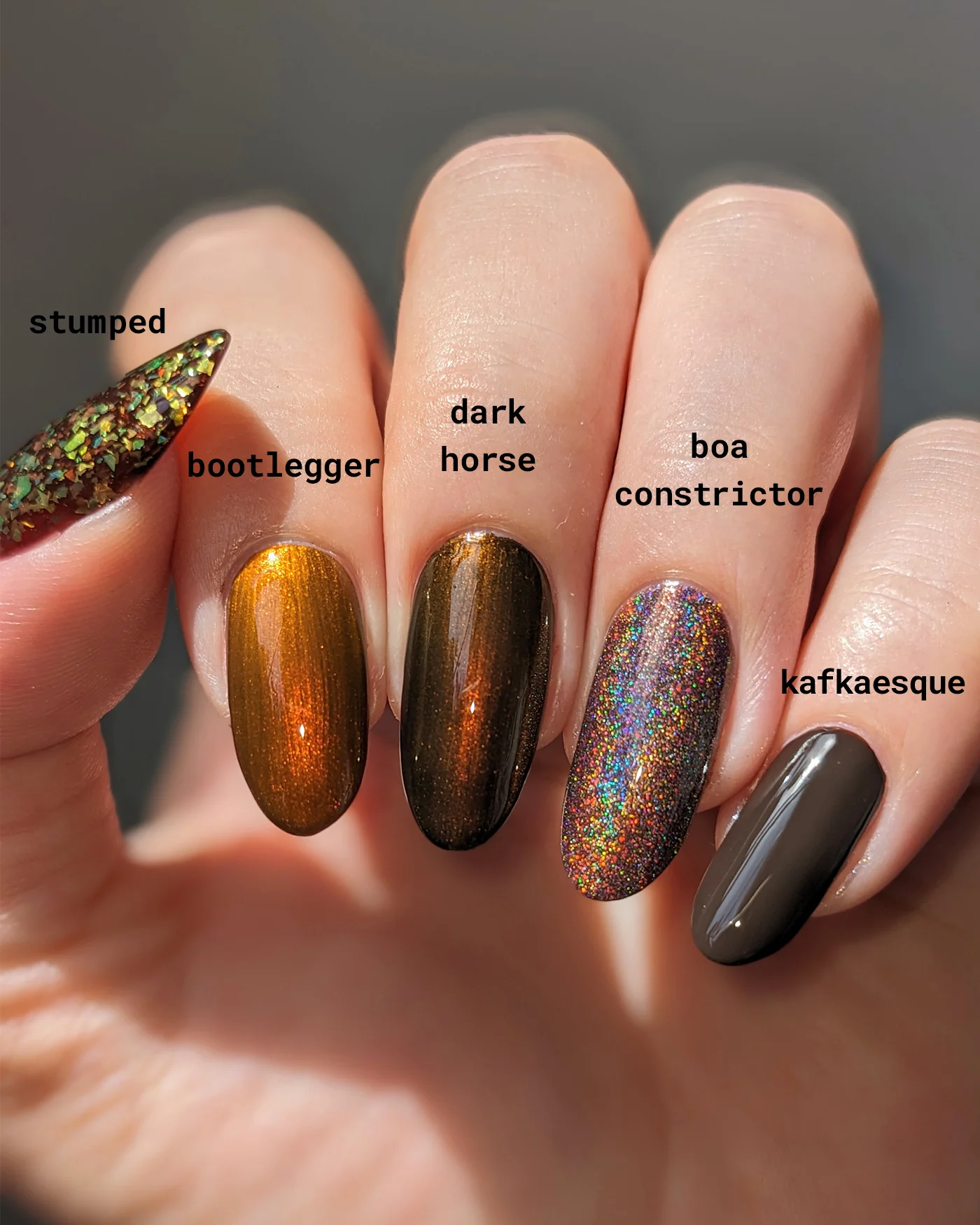 Thumbnail 9