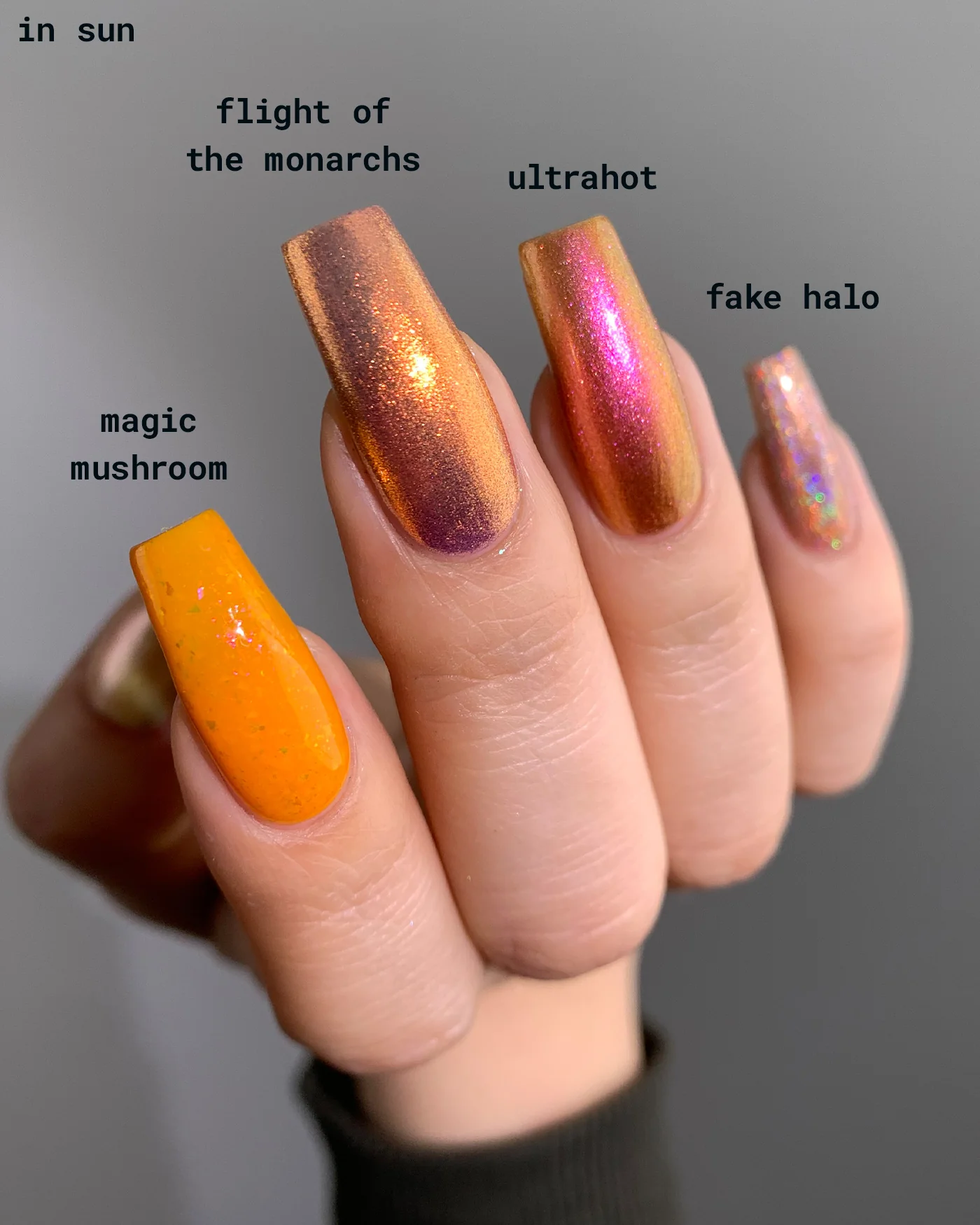 Thumbnail 11