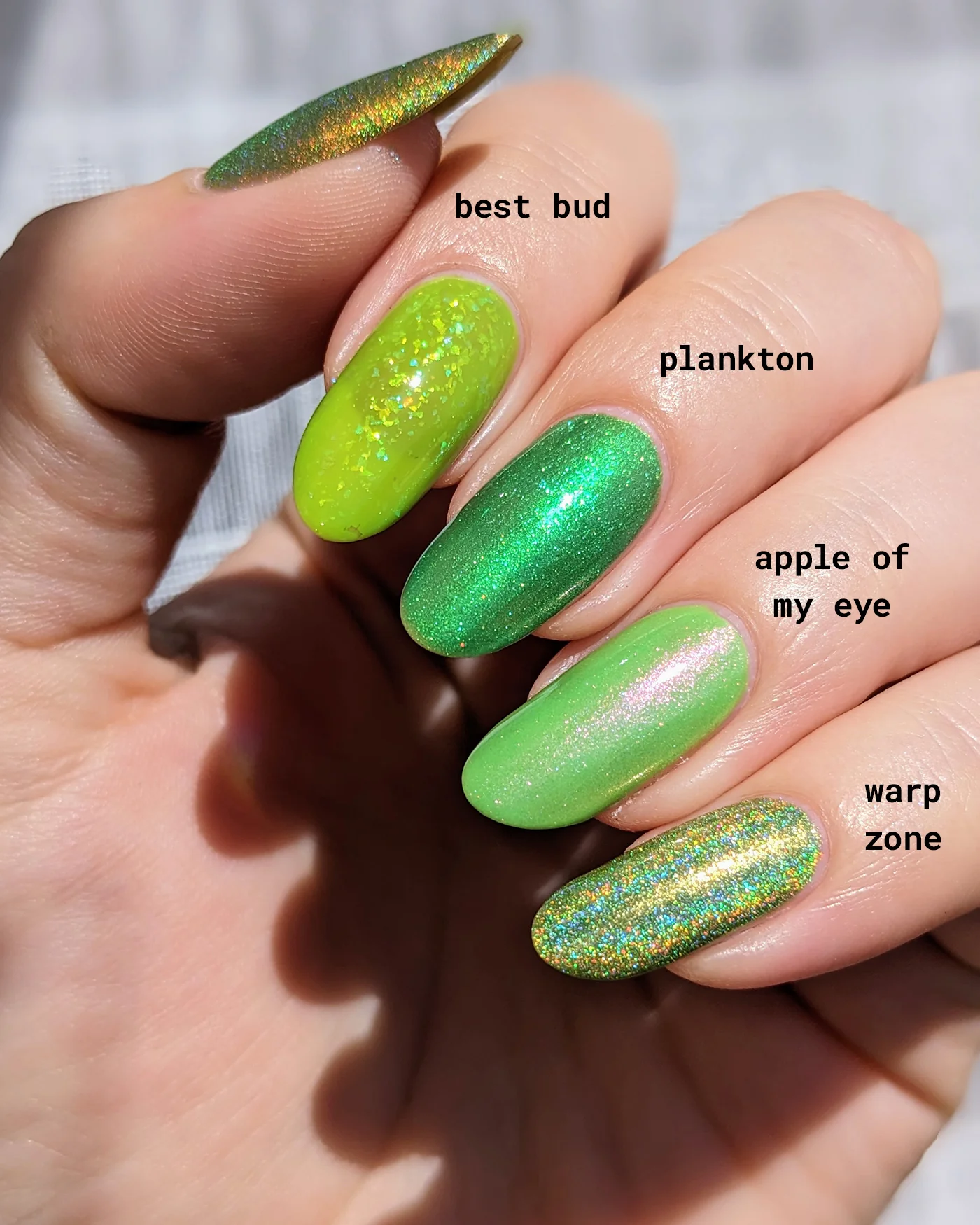 Thumbnail 9